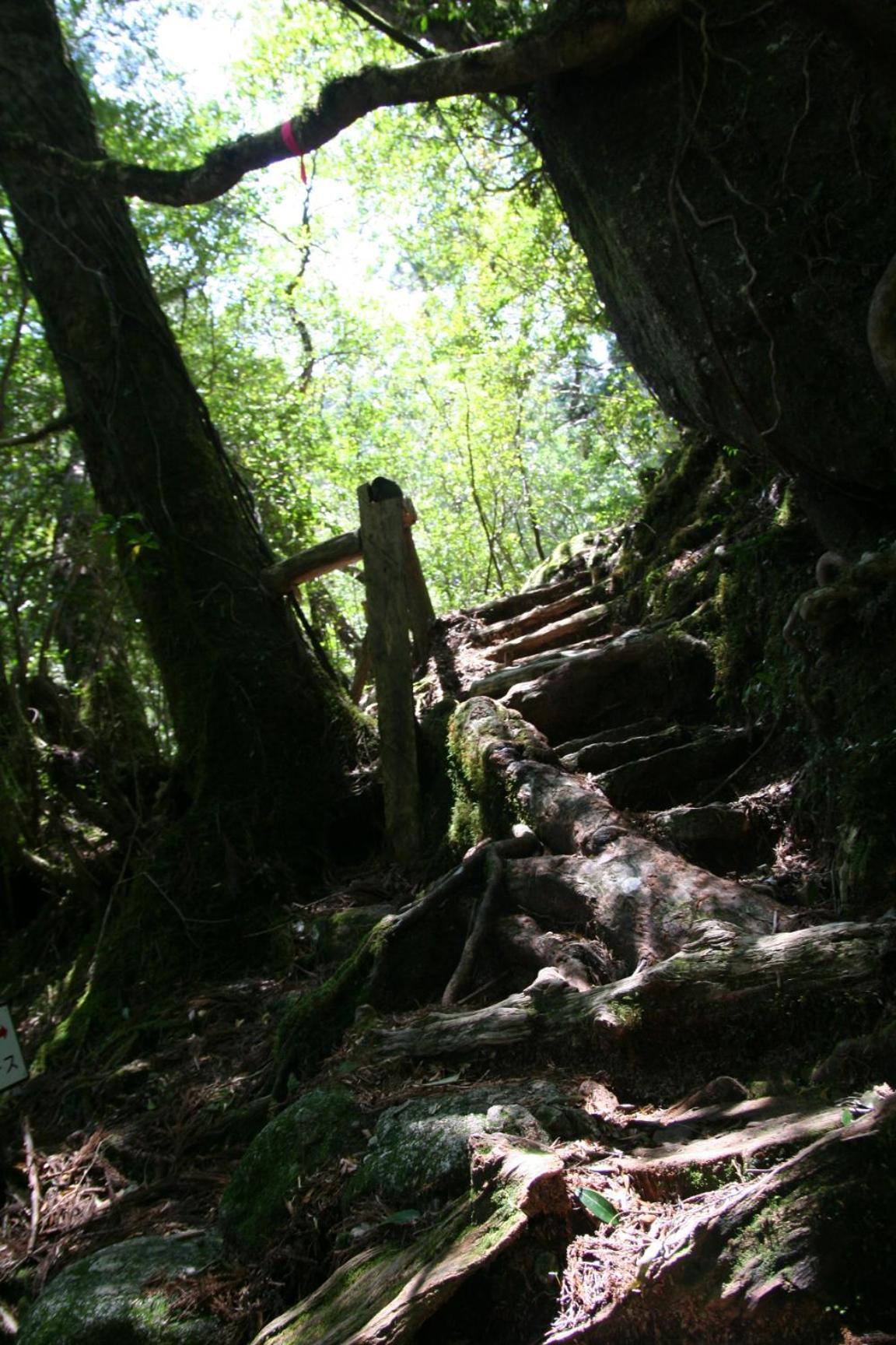 Hotel Yakunoyado Taguchi Yakushima  Esterno foto