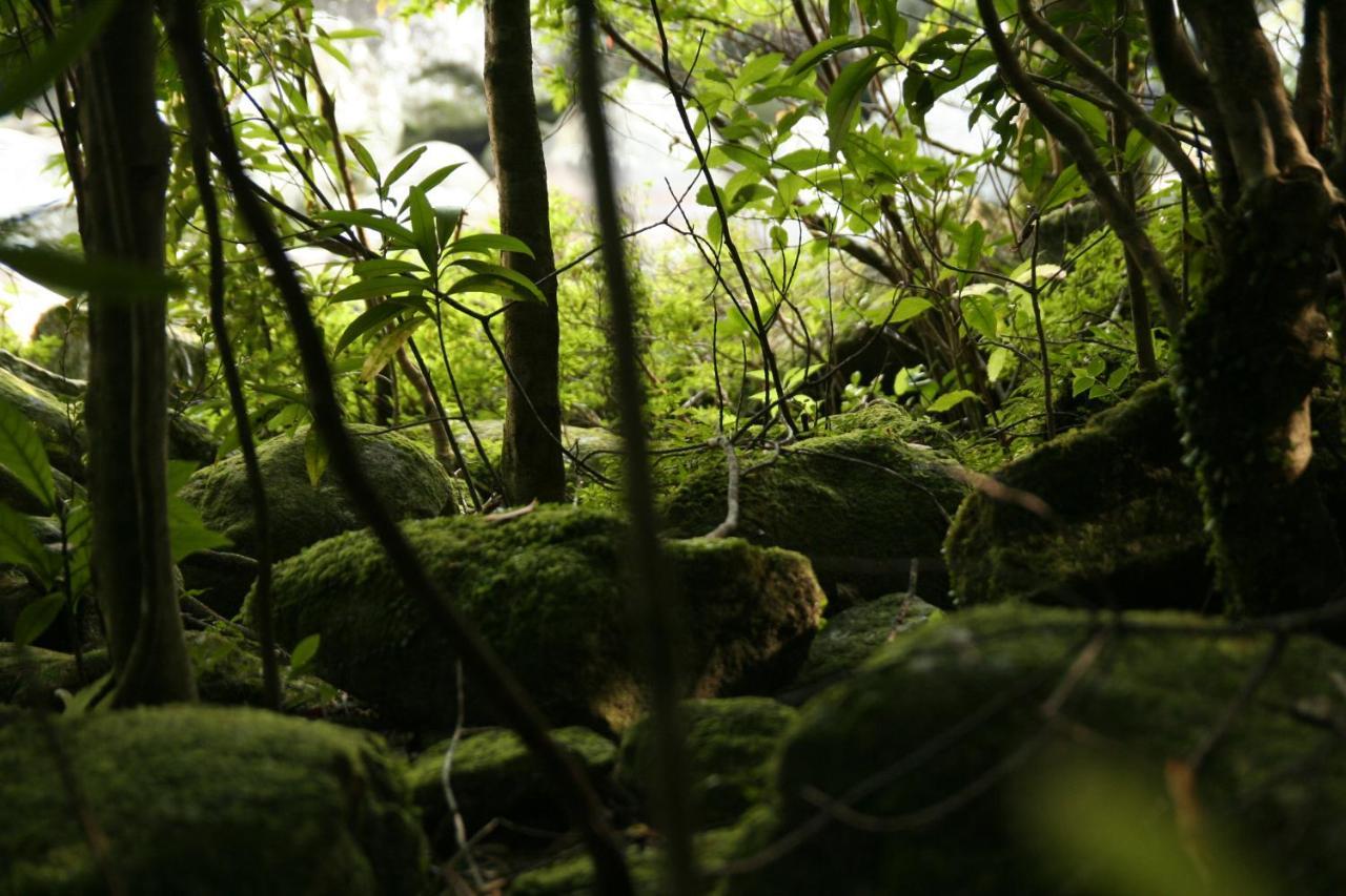 Hotel Yakunoyado Taguchi Yakushima  Esterno foto
